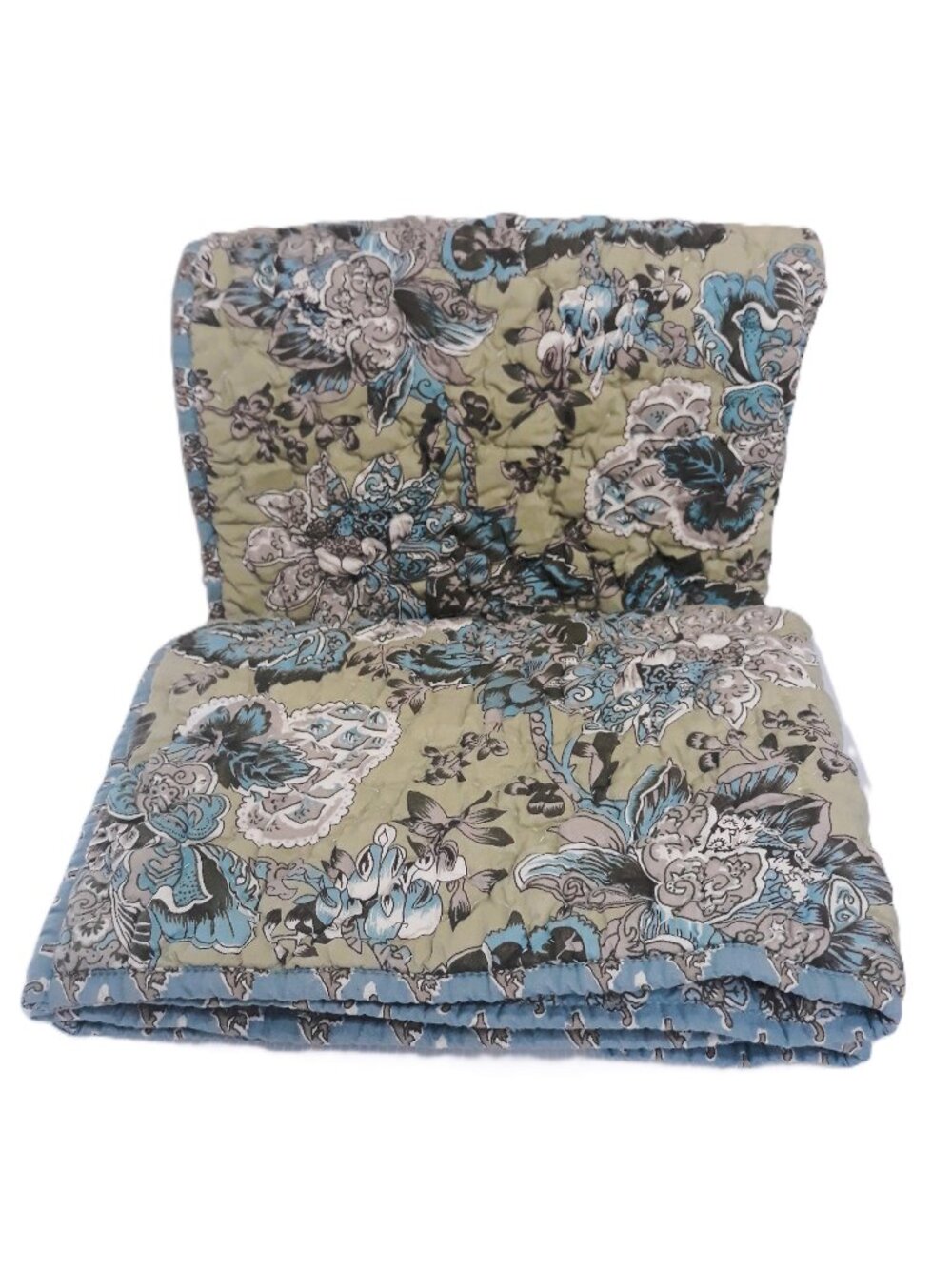 Pottery Barn Floral Pillow Shams Standard Cotton SET OF 2